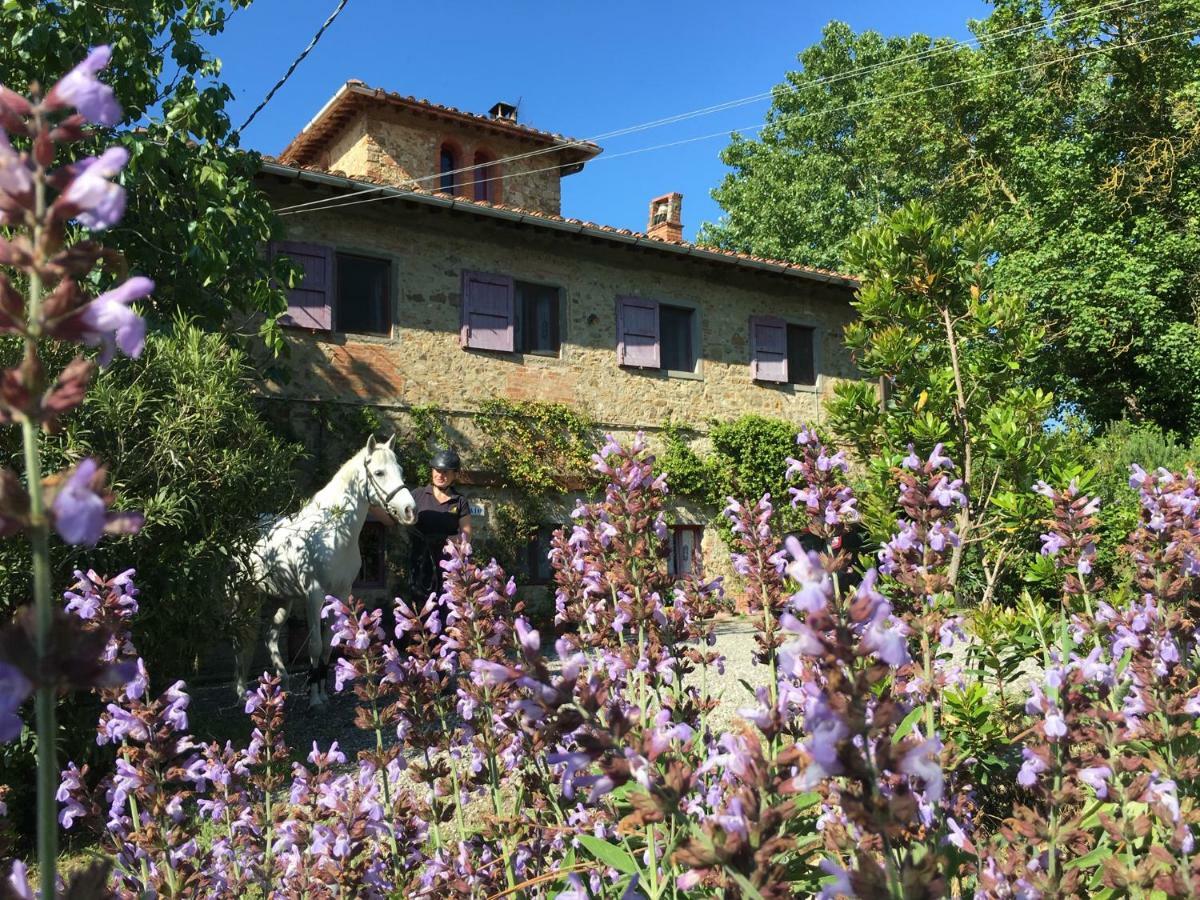 Farmhouse B&B Il Paretaio Barberino di Val dʼElsa Buitenkant foto