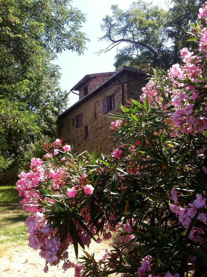 Farmhouse B&B Il Paretaio Barberino di Val dʼElsa Buitenkant foto