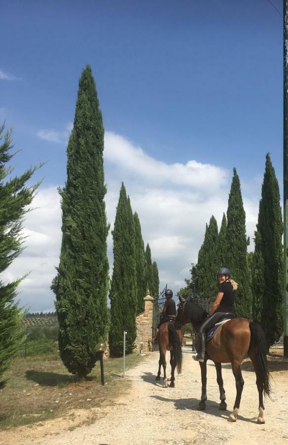 Farmhouse B&B Il Paretaio Barberino di Val dʼElsa Buitenkant foto